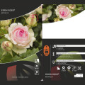 Rosier grimpant Eden Rose®, C3 interface.image 3 interface.art 4559
