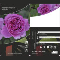 Rosiers floribunda Adore Aroma®, С3 interface.image 3 interface.art 2065