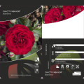 Rosiers floribunda Chic™ Fashion ®, С3 interface.image 3 interface.art 6172