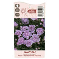 Rosiers floribunda Nautica®, C5 interface.image 4 interface.art 6150