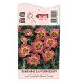 Rosiers floribunda Sunshine Babylon Eyes®, C5 interface.image 3 interface.art 5517