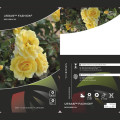 Rosiers floribunda Urban ™ Fashion ®, С3 interface.image 2 interface.art 5008