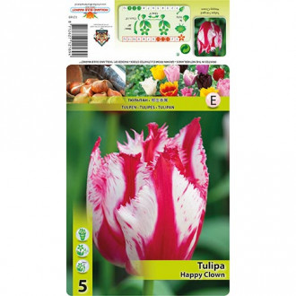 Tulipe Happy Clown interface.image 18