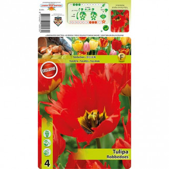 Tulipe Robbedoes interface.image 5
