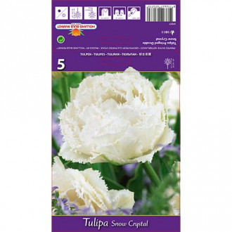 Tulipe Snow Crystal interface.image 3
