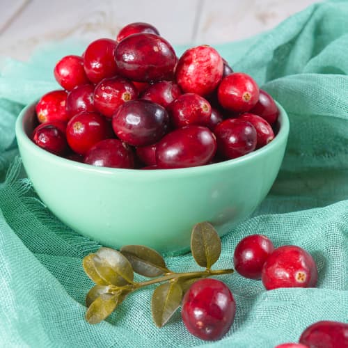 Airelle à gros fruits Piligrim, P9 interface.image 1 interface.art 9311