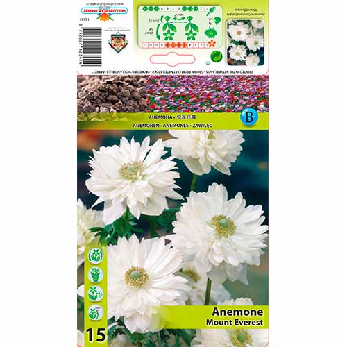 Anemone Mount Everest interface.image 1 interface.art 76166