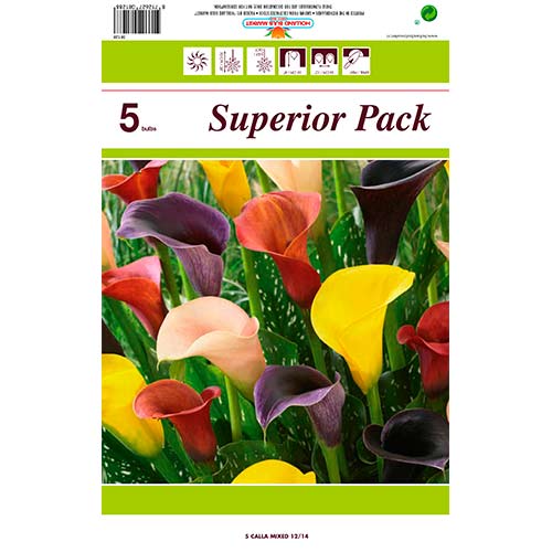 Calla Mixed interface.image 1 interface.art 76396