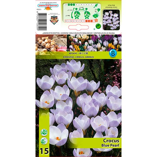 Crocus Blue Pearl interface.image 1 interface.art 67327