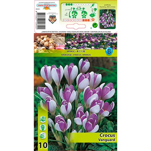 Crocus Vanguard interface.image 1 interface.art 67343