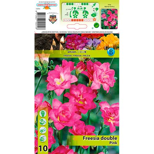 Freesia Double Pink interface.image 1 interface.art 76237