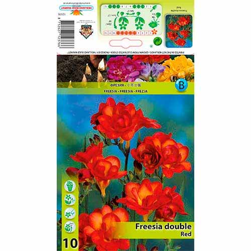 Freesia Double Red interface.image 1 interface.art 76238