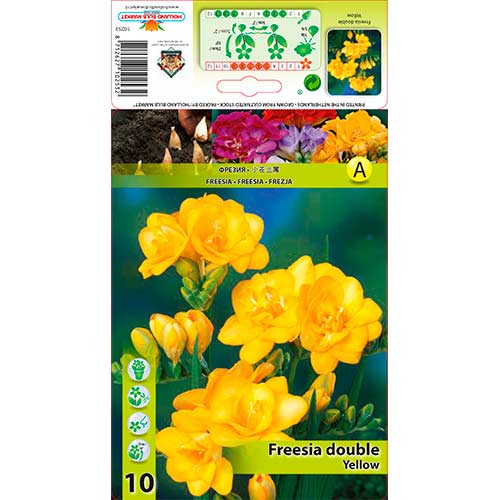 Freesia Double Yellow interface.image 1 interface.art 76240
