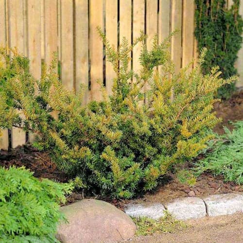 If intermédiaire Farmen interface.image 1 interface.art 9690