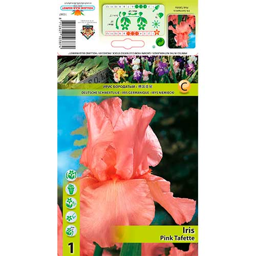 Iris barbu Pink Tafette interface.image 1 interface.art 76291