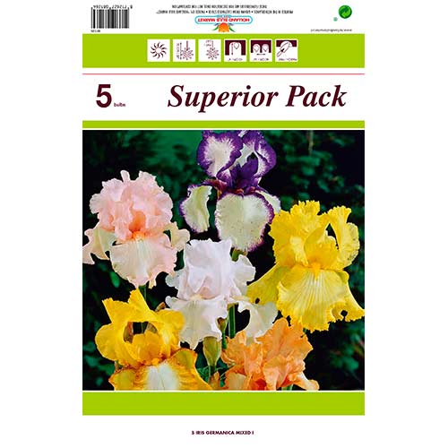 Iris Germanica Mixed interface.image 1 interface.art 76464