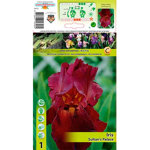 Iris Sultan's Palace interface.image 1 interface.art 76292