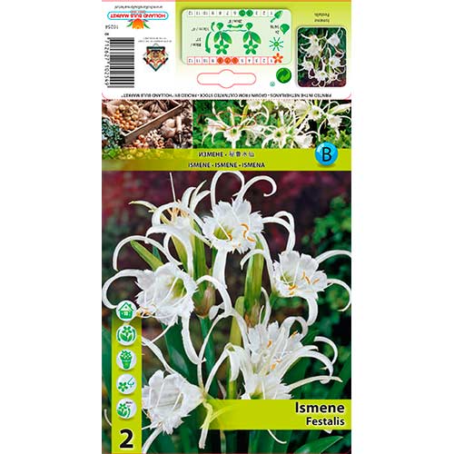 Ismene Festalis interface.image 1 interface.art 76294