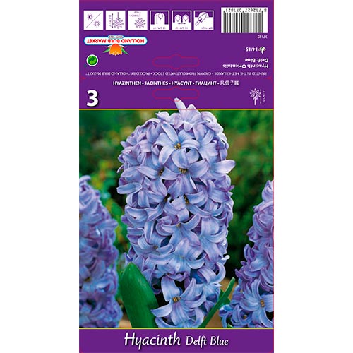 Jacinthe Delft Blue interface.image 1 interface.art 67359