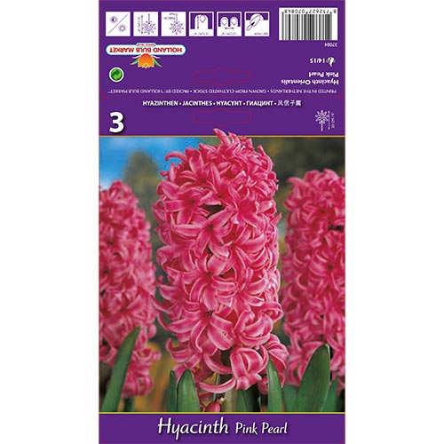 Jacinthe Pink Pearl interface.image 1 interface.art 67365