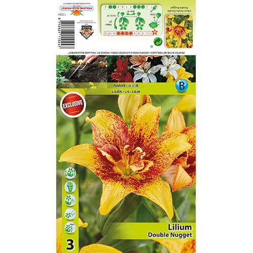 Lis Double Nugget interface.image 1 interface.art 77820