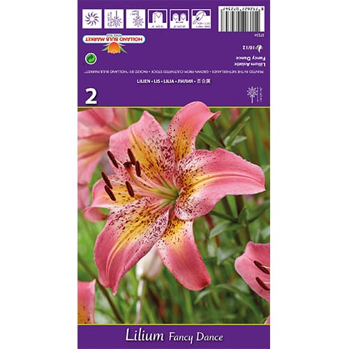 Lis Fancy Dance interface.image 1 interface.art 77836