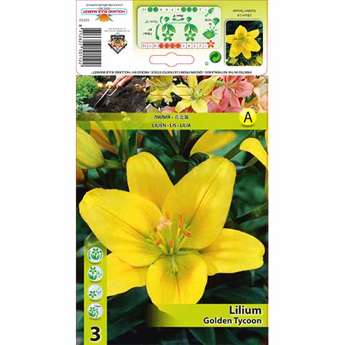 Lis Golden Tycoon interface.image 1 interface.art 70468