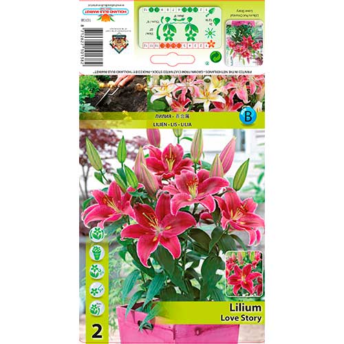 Lis Love Story interface.image 1 interface.art 76313