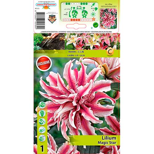 Lis Magic Star interface.image 1 interface.art 76314