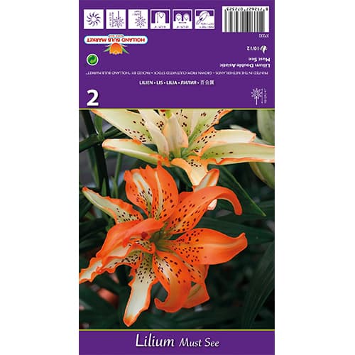 Lis Must See interface.image 1 interface.art 77838