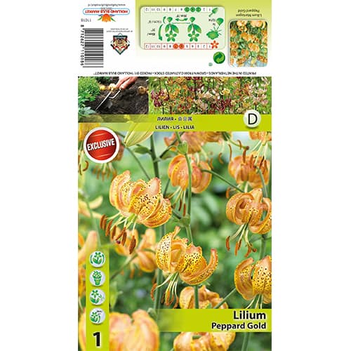 Lis Peppart Gold interface.image 1 interface.art 77823