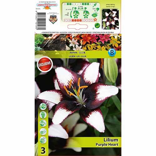 Lis Purple Heart interface.image 1 interface.art 76475