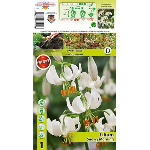 Lis Snowy Morning interface.image 1 interface.art 77824