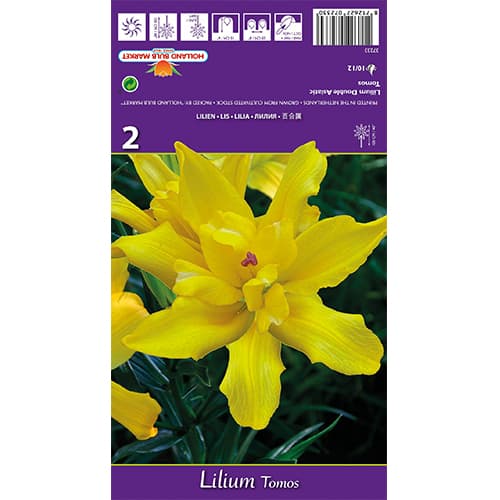 Lis Tomos interface.image 1 interface.art 77839