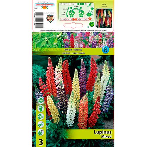 Lupin, mixed interface.image 1 interface.art 76325