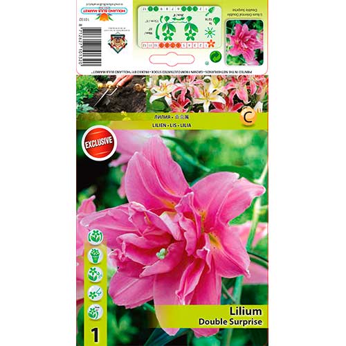 Lys Double Surprise interface.image 1 interface.art 76307