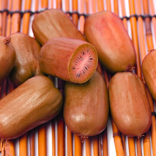 Mini kiwi (Actinidia) Ken's Red, P9 interface.image 1 interface.art 9240