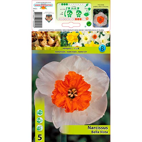 Narcisse Bella Vista interface.image 1 interface.art 67640