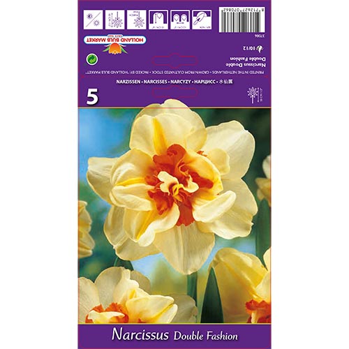 Narcisse Double Fashion interface.image 1 interface.art 67413