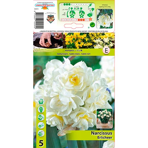 Narcisse Erlicheer interface.image 1 interface.art 70285