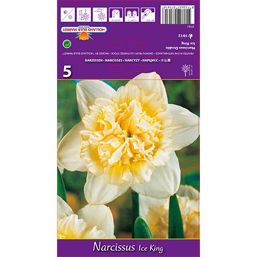 Narcisse Ice King interface.image 1 interface.art 67415