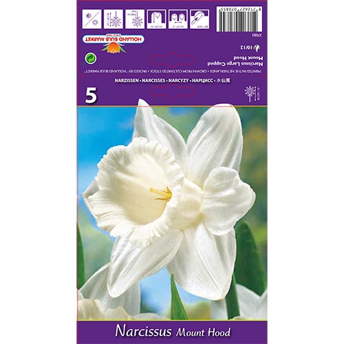 Narcisse Mount Hood interface.image 1 interface.art 70214