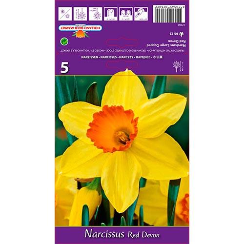 Narcisse Red Devon interface.image 1 interface.art 67659