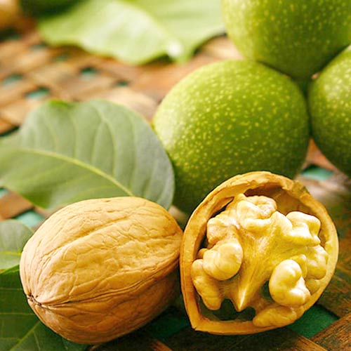 Noyer Chandler, С2 interface.image 1 interface.art 7041