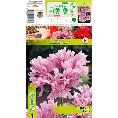 Pavot Ruffles Patty Ruffles interface.image 1 interface.art 76344