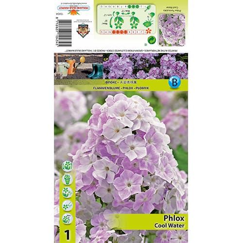 Phlox Cool Water interface.image 1 interface.art 77835