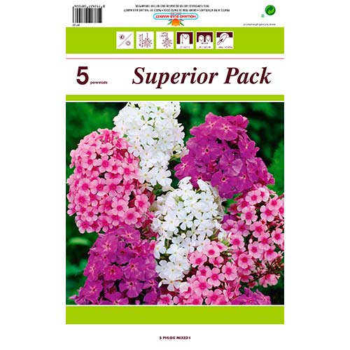 Phlox, mixed interface.image 1 interface.art 76491