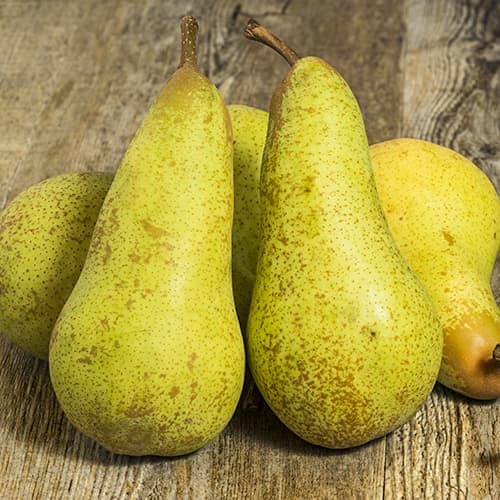 Poirier Abate Fetel, C2 interface.image 1 interface.art 9684