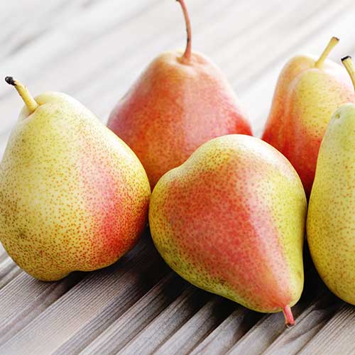 Poirier Santa Maria, С2 interface.image 1 interface.art 4305