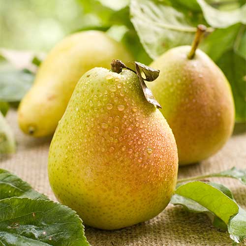 Poirier Williams, С2 interface.image 1 interface.art 7938